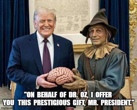 Prestigious Award | "ON  BEHALF  OF  DR.  OZ,  I  OFFER  YOU   THIS  PRESTIGIOUS  GIFT,  MR.  PRESIDENT." | image tagged in the wizard of oz | made w/ Imgflip meme maker