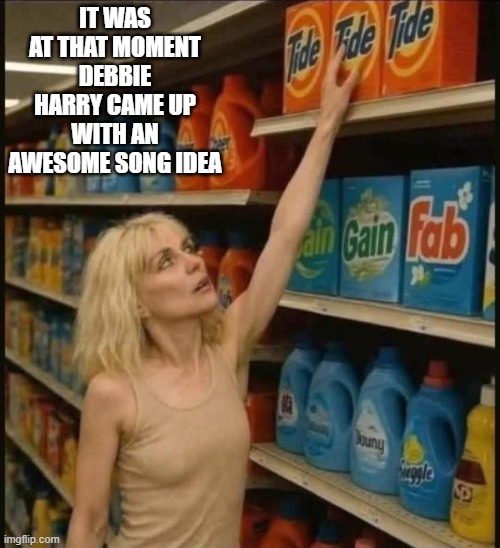 The Tide is high | IT WAS AT THAT MOMENT DEBBIE HARRY CAME UP WITH AN AWESOME SONG IDEA | image tagged in song lyrics,music | made w/ Imgflip meme maker