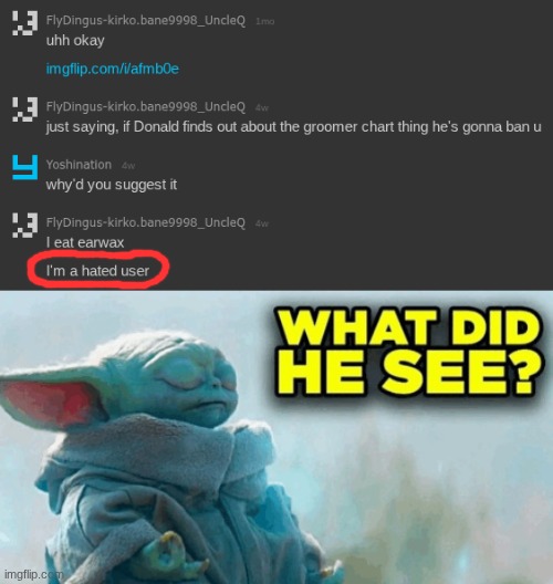 image tagged in baby yoda what did he see | made w/ Imgflip meme maker