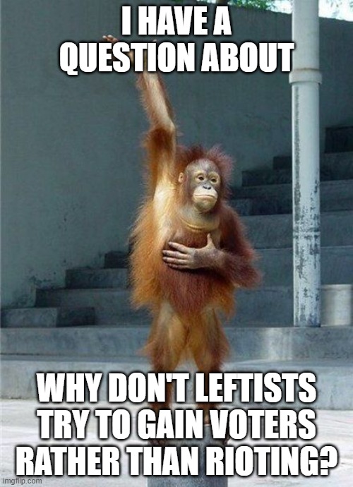 Monkey Raising Hand | I HAVE A QUESTION ABOUT; WHY DON'T LEFTISTS TRY TO GAIN VOTERS RATHER THAN RIOTING? | image tagged in monkey raising hand | made w/ Imgflip meme maker