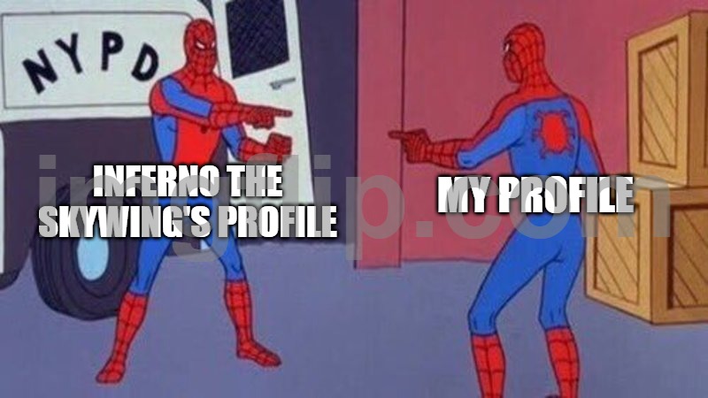 seriously my profile was like that before with inferno the skywings profile | INFERNO THE SKYWING'S PROFILE; MY PROFILE | image tagged in spiderman pointing at spiderman | made w/ Imgflip meme maker