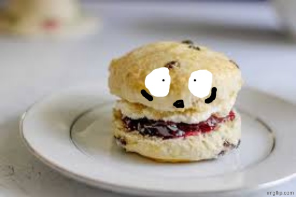 After this drama is over, I'm gonna be scared of what's to come in the future, because what the hell? | image tagged in scone | made w/ Imgflip meme maker