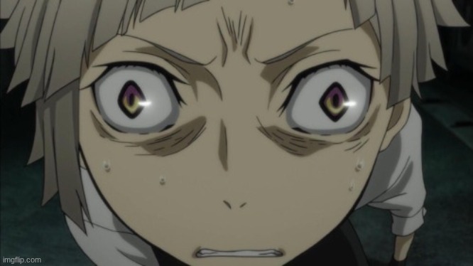 WHAT THE FUCK DID I JUST COME ACROSS | image tagged in fisheye stare | made w/ Imgflip meme maker