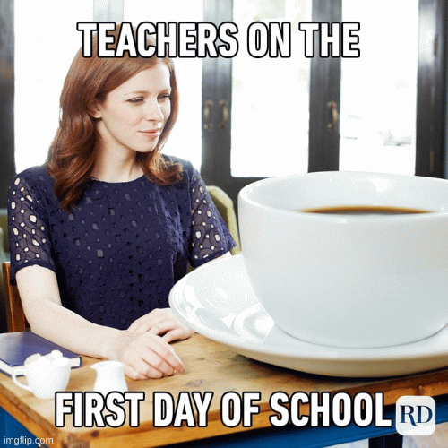 Here me out | image tagged in gifs | made w/ Imgflip images-to-gif maker