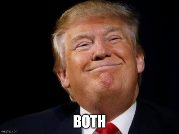 Smug Trump | BOTH | image tagged in smug trump | made w/ Imgflip meme maker