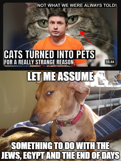 LET ME ASSUME; SOMETHING TO DO WITH THE JEWS, EGYPT AND THE END OF DAYS | image tagged in suspicious dog,funny,cats,conspiracy | made w/ Imgflip meme maker