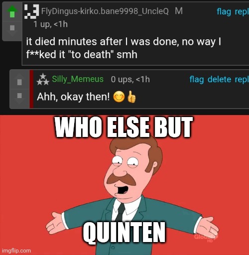 What are you like. Hehe | WHO ELSE BUT; QUINTEN | image tagged in who else but quagmire guy | made w/ Imgflip meme maker