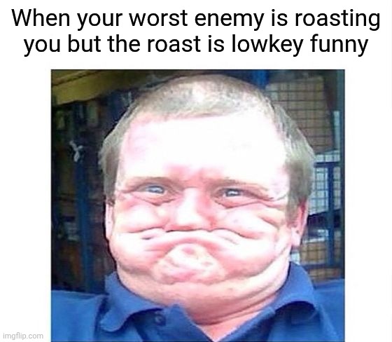 when you're trying not to laugh at something stupid | When your worst enemy is roasting you but the roast is lowkey funny | image tagged in when you're trying not to laugh at something stupid | made w/ Imgflip meme maker