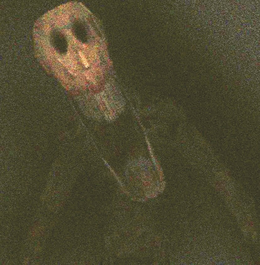 THE IDOL SUCKS Blank Meme Template