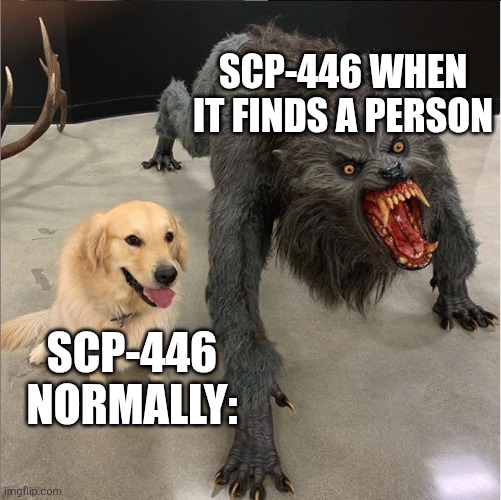 SCP Memes | SCP-446 WHEN IT FINDS A PERSON; SCP-446 NORMALLY: | image tagged in dog vs werewolf | made w/ Imgflip meme maker