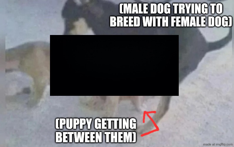 (MALE DOG TRYING TO BREED WITH FEMALE DOG) (PUPPY GETTING BETWEEN THEM) | made w/ Imgflip meme maker
