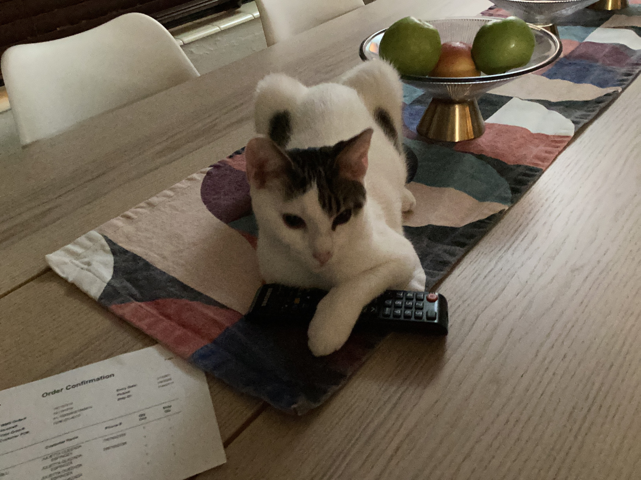 Lil Larry Blank Meme Template