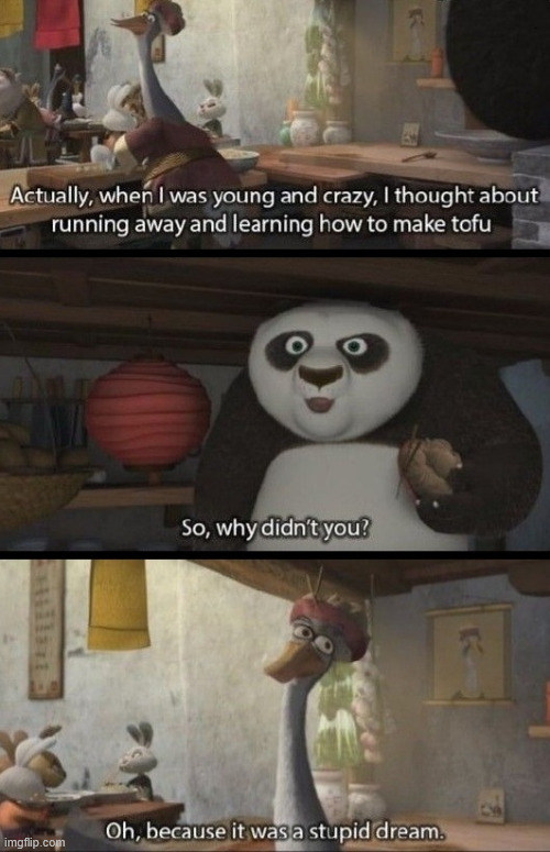 Lost your Dreams | image tagged in kung fu panda,tom holland and zendaya behind the scenes,memes,climbing,lattice climbing,funny | made w/ Imgflip meme maker