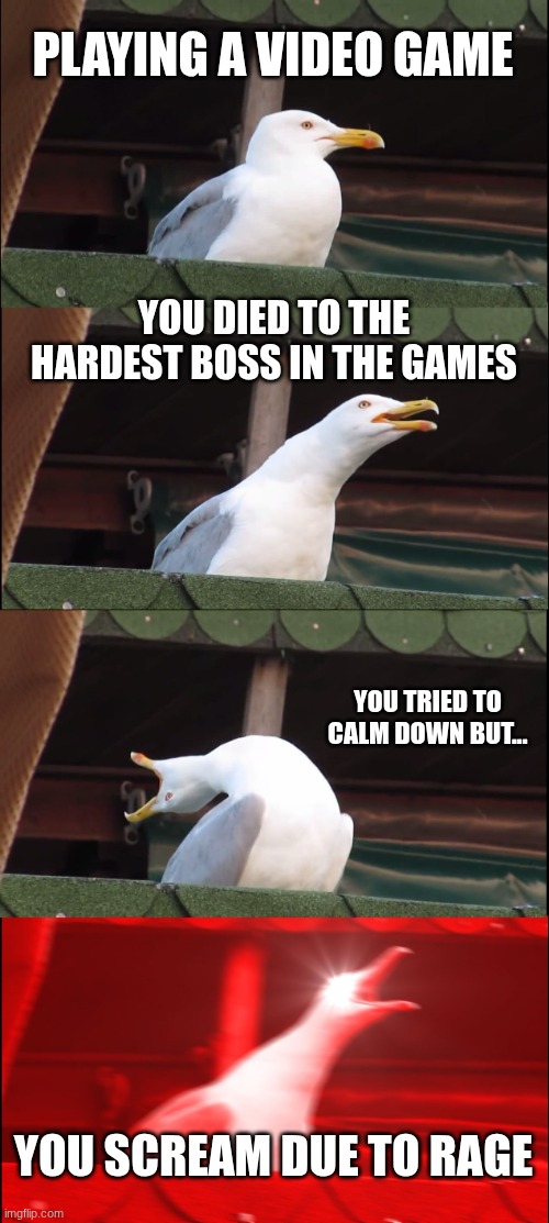 POV Playing video games be like: | PLAYING A VIDEO GAME; YOU DIED TO THE HARDEST BOSS IN THE GAMES; YOU TRIED TO CALM DOWN BUT... YOU SCREAM DUE TO RAGE | image tagged in memes,inhaling seagull,video games,fun | made w/ Imgflip meme maker