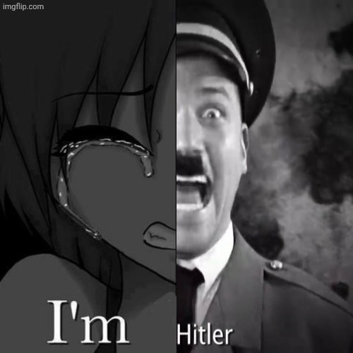 Random image I made in around an image | image tagged in i'm fi,hitler | made w/ Imgflip meme maker