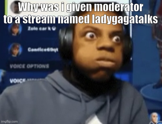 speed blowing | Why was i given moderator to a stream named ladygagatalks | image tagged in speed blowing | made w/ Imgflip meme maker