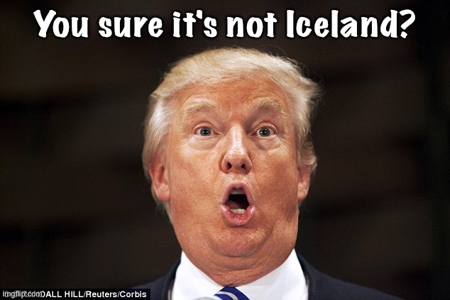 Trump stupid face | You sure it's not Iceland? | image tagged in trump stupid face | made w/ Imgflip meme maker