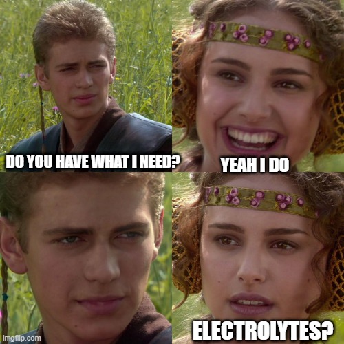 Anakin Padme 4 Panel | DO YOU HAVE WHAT I NEED? YEAH I DO; ELECTROLYTES? | image tagged in anakin padme 4 panel | made w/ Imgflip meme maker