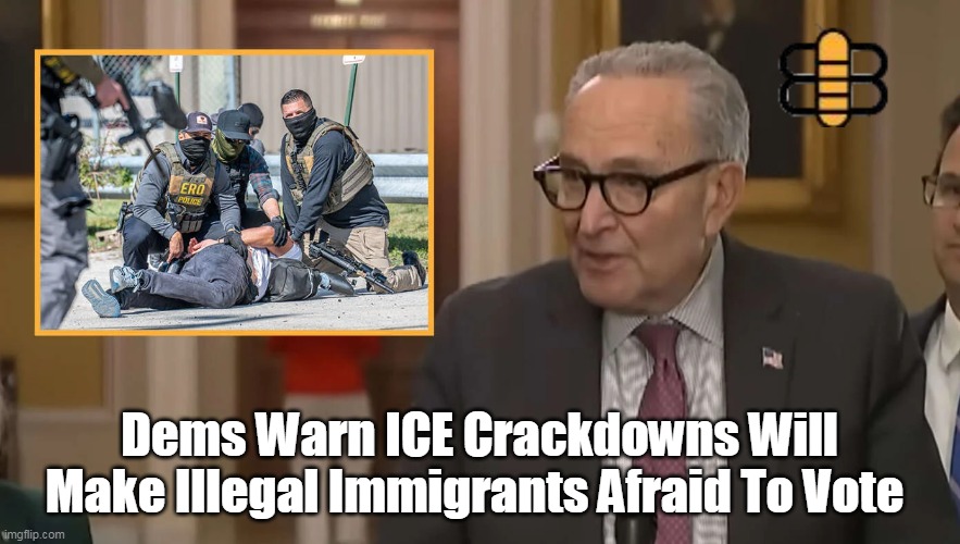 Dems Warn ICE Crackdowns Will Make Illegal Immigrants Afraid To Vote | made w/ Imgflip meme maker