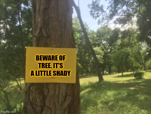 Warning | BEWARE OF TREE. IT'S A LITTLE SHADY | made w/ Imgflip meme maker