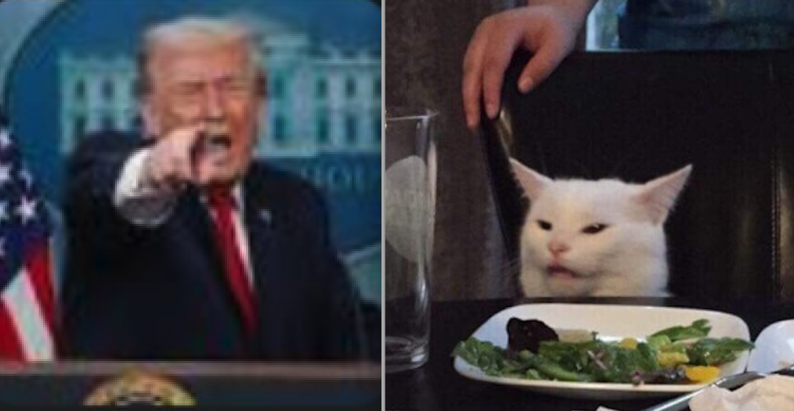 Trump Screaming at Cat Blank Meme Template