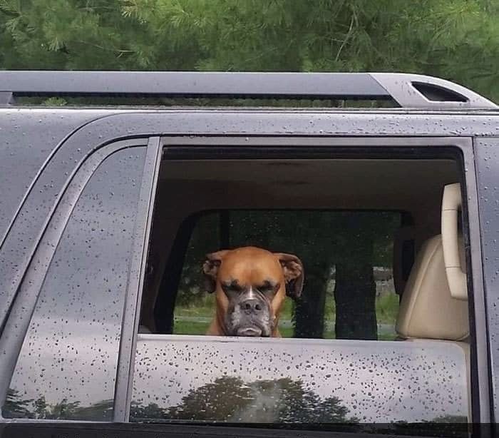 Chrisjoines1 Blank Meme Template