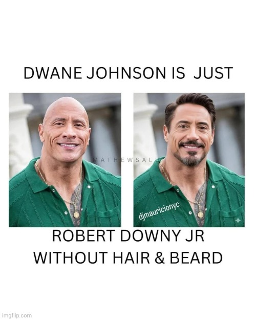 Basically | image tagged in robert downey jr,dwayne johnson | made w/ Imgflip meme maker