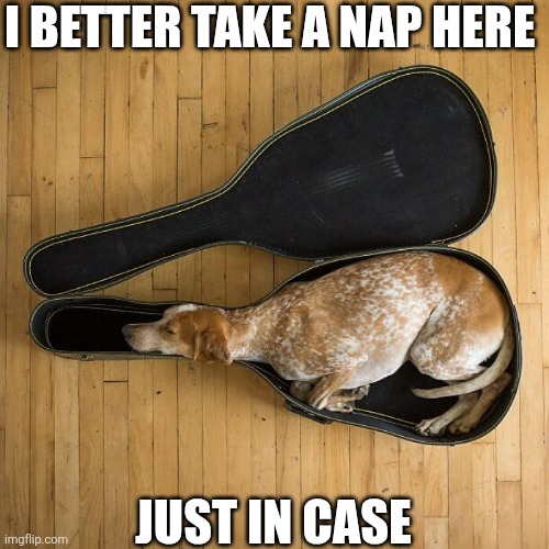 I Better Take A Nap Here | I BETTER TAKE A NAP HERE; JUST IN CASE | image tagged in chrisjoines1 | made w/ Imgflip meme maker