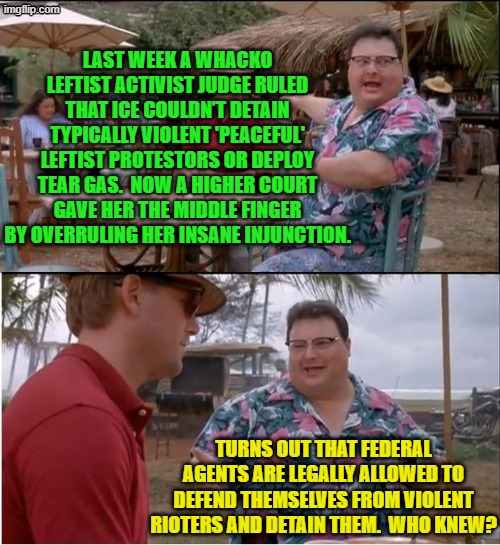 Seriously these insane or corrupt leftist activist judges need to go to prison. | LAST WEEK A WHACKO LEFTIST ACTIVIST JUDGE RULED THAT ICE COULDN’T DETAIN TYPICALLY VIOLENT 'PEACEFUL' LEFTIST PROTESTORS OR DEPLOY TEAR GAS.  NOW A HIGHER COURT GAVE HER THE MIDDLE FINGER BY OVERRULING HER INSANE INJUNCTION. TURNS OUT THAT FEDERAL AGENTS ARE LEGALLY ALLOWED TO DEFEND THEMSELVES FROM VIOLENT RIOTERS AND DETAIN THEM.  WHO KNEW? | image tagged in see nobody cares | made w/ Imgflip meme maker