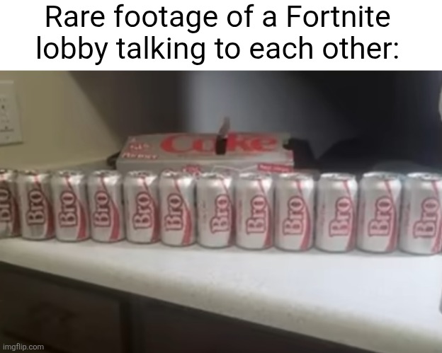 hey bro did you see that bro nah bro ok bro | Rare footage of a Fortnite lobby talking to each other: | image tagged in fortnite,relatable,gaming,bro,boys,so true | made w/ Imgflip meme maker