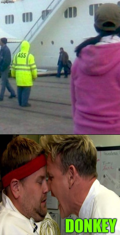 Donkey | DONKEY | image tagged in donkey,angry chef gordon ramsay,screaming,ass,epic fail,dafuq did i just read | made w/ Imgflip meme maker