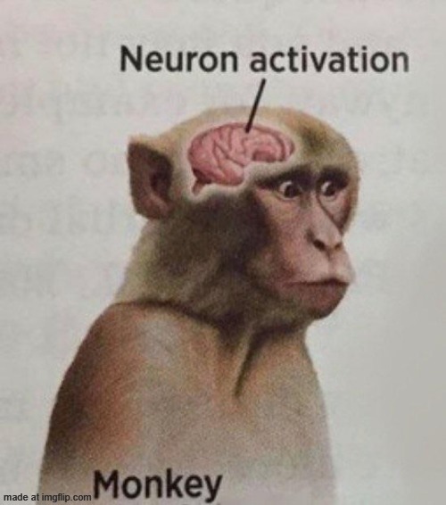 Neuron Activation Monkey | image tagged in neuron activation monkey | made w/ Imgflip meme maker