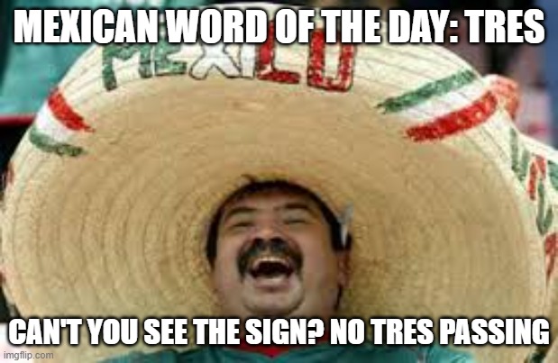 get off my property | MEXICAN WORD OF THE DAY: TRES; CAN'T YOU SEE THE SIGN? NO TRES PASSING | image tagged in mexican word of the day,memes,funny,funny memes,lol | made w/ Imgflip meme maker