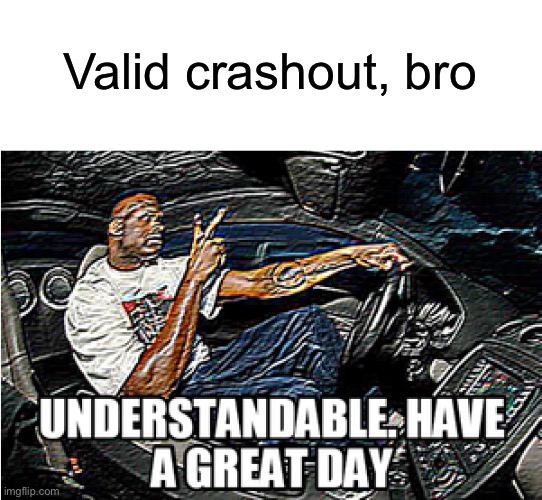 UNDERSTANDABLE, HAVE A GREAT DAY | Valid crashout, bro | image tagged in understandable have a great day | made w/ Imgflip meme maker