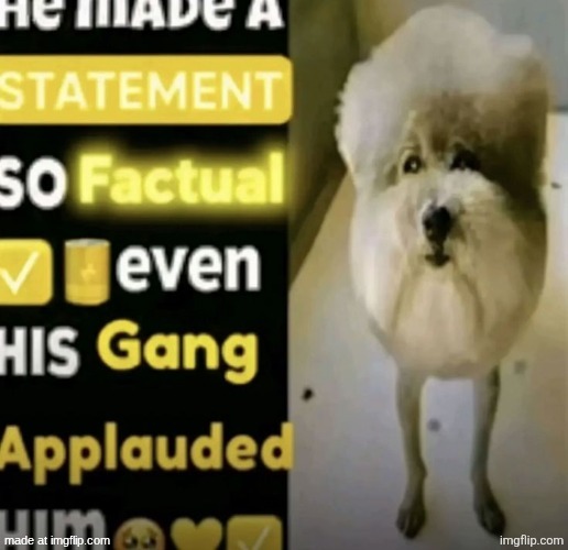 he made a statement so factual | image tagged in he made a statement so factual | made w/ Imgflip meme maker