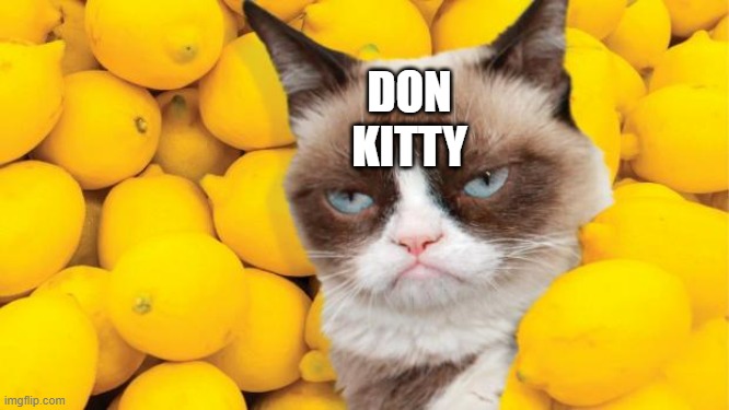 Grumpy Cat lemons | DON
KITTY | image tagged in grumpy cat lemons | made w/ Imgflip meme maker