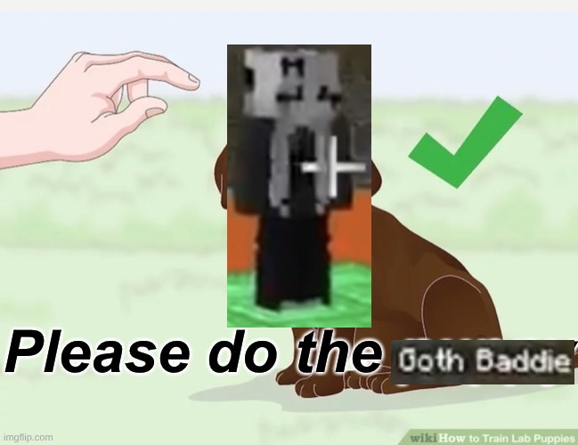 image tagged in please do the puppy | made w/ Imgflip meme maker