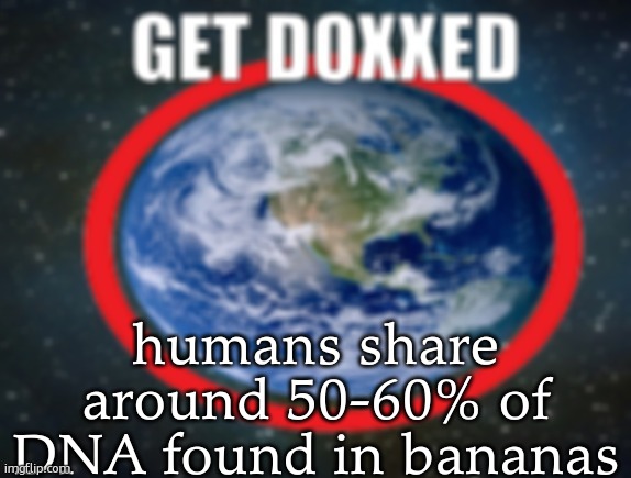 GET DOXXED! | humans share around 50-60% of DNA found in bananas | image tagged in get doxxed | made w/ Imgflip meme maker