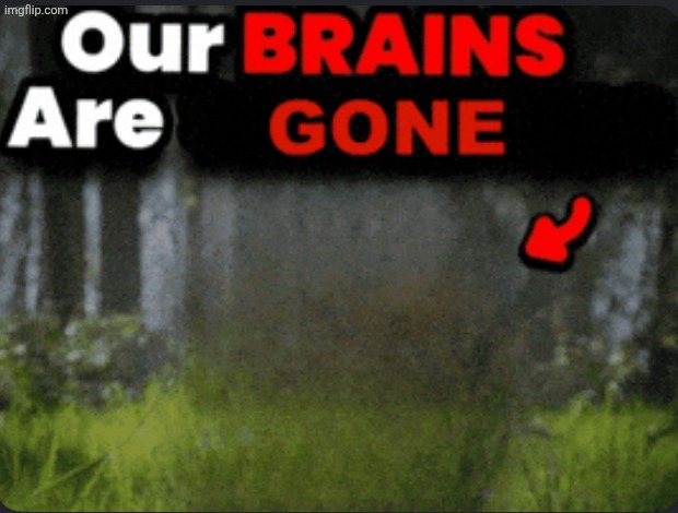 Our brains are GONE | image tagged in our brains are gone | made w/ Imgflip meme maker