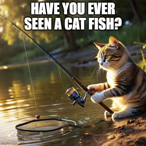 Have you ever seen a cat fish?   --  funny meme  -- | HAVE YOU EVER SEEN A CAT FISH? | image tagged in cat,kittens,fish,funny,humor,play on words | made w/ Imgflip meme maker
