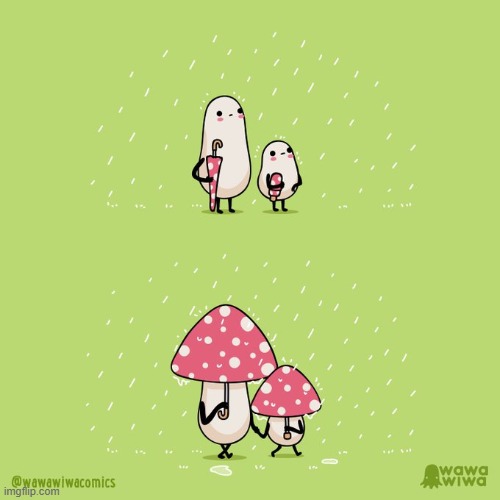image tagged in rain,raining,mushrooms,umbrella,umbrellas,cute | made w/ Imgflip meme maker