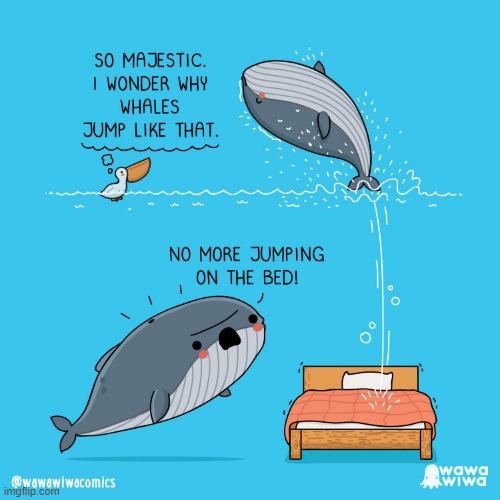 image tagged in pelican,whale,whales,jump,jumping,bed | made w/ Imgflip meme maker