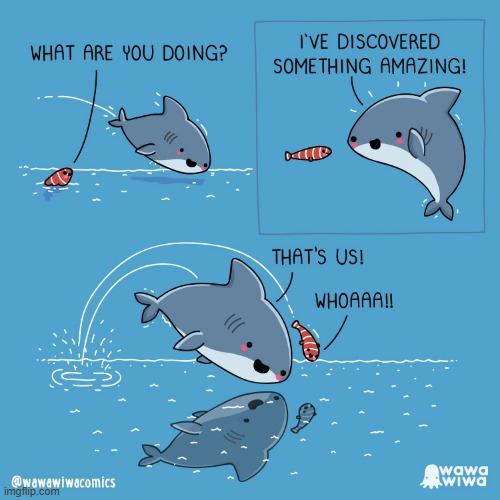 image tagged in shark,fish,jump,jumping,ocean,reflection | made w/ Imgflip meme maker