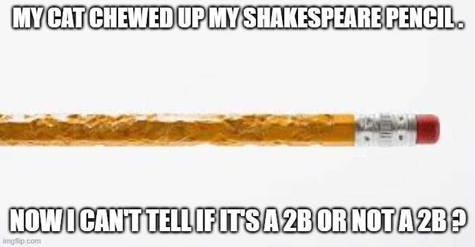 My cat chewed up my Shakespeare pencil. I can't tell if it's a 2B or not a 2B. | MY CAT CHEWED UP MY SHAKESPEARE PENCIL . NOW I CAN'T TELL IF IT'S A 2B OR NOT A 2B ? | image tagged in cat,kittens,funny,humor,shakespeare,joke | made w/ Imgflip meme maker