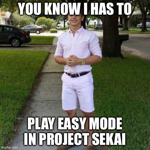You Know I Had to do it to em | YOU KNOW I HAS TO; PLAY EASY MODE IN PROJECT SEKAI | image tagged in you know i had to do it to em | made w/ Imgflip meme maker