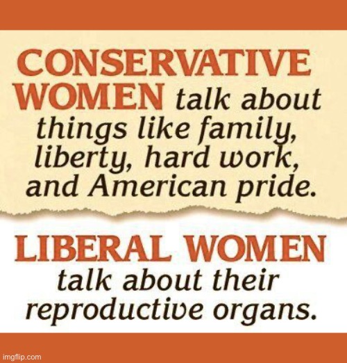 The left can’t even tell you what “a woman” is… | image tagged in political meme,conservative women,liberal women,the difference,values | made w/ Imgflip meme maker