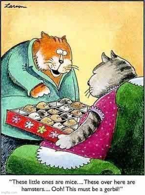 A “Whitman’s Sampler” of rodents… | image tagged in the far side,comics,sampler,rodents,cats | made w/ Imgflip meme maker