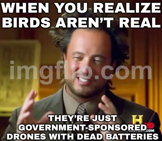 WHEN YOU REALIZE BIRDS AREN’T REAL | WHEN YOU REALIZE BIRDS AREN’T REAL; THEY’RE JUST GOVERNMENT-SPONSORED DRONES WITH DEAD BATTERIES | image tagged in memes,ancient aliens,drones,murder drones,birds,conspiracy theory | made w/ Imgflip meme maker