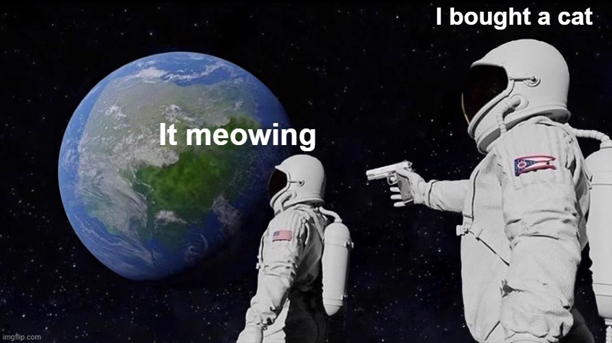 Always Has Been | I bought a cat; It meowing | image tagged in memes,always has been | made w/ Imgflip meme maker