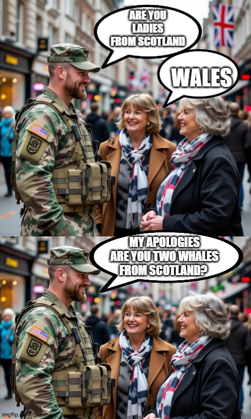 An American in the UK | image tagged in whales | made w/ Imgflip meme maker